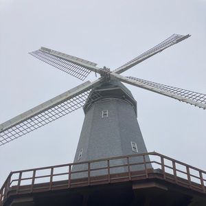 Meet your Posher, Denise